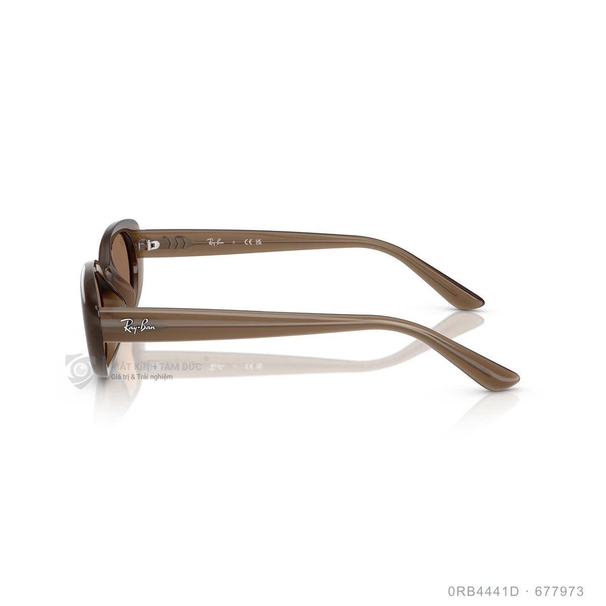 Kính mát Rayban 0RB4441D - Ảnh 34
