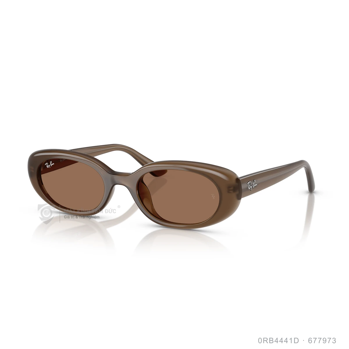 Kính mát Rayban 0RB4441D - Ảnh 32