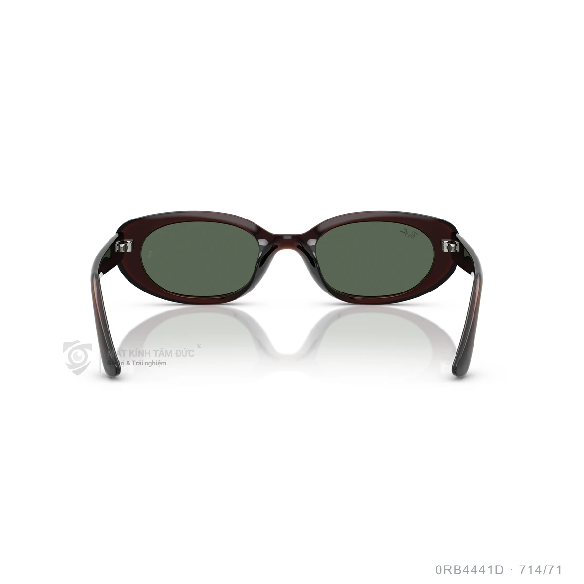 Kính mát Rayban 0RB4441D - Ảnh 15