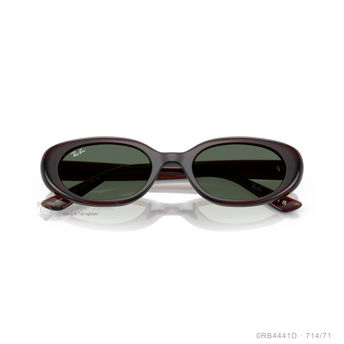 Kính mát Rayban 0RB4441D - Ảnh 13