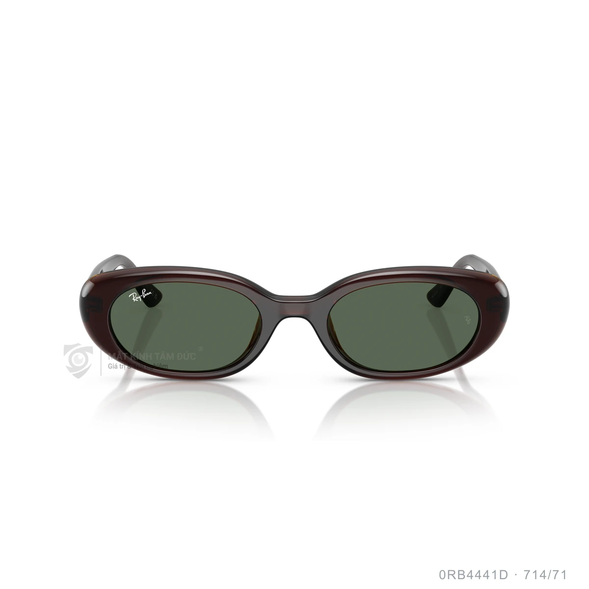 Kính mát Rayban 0RB4441D - Ảnh 11