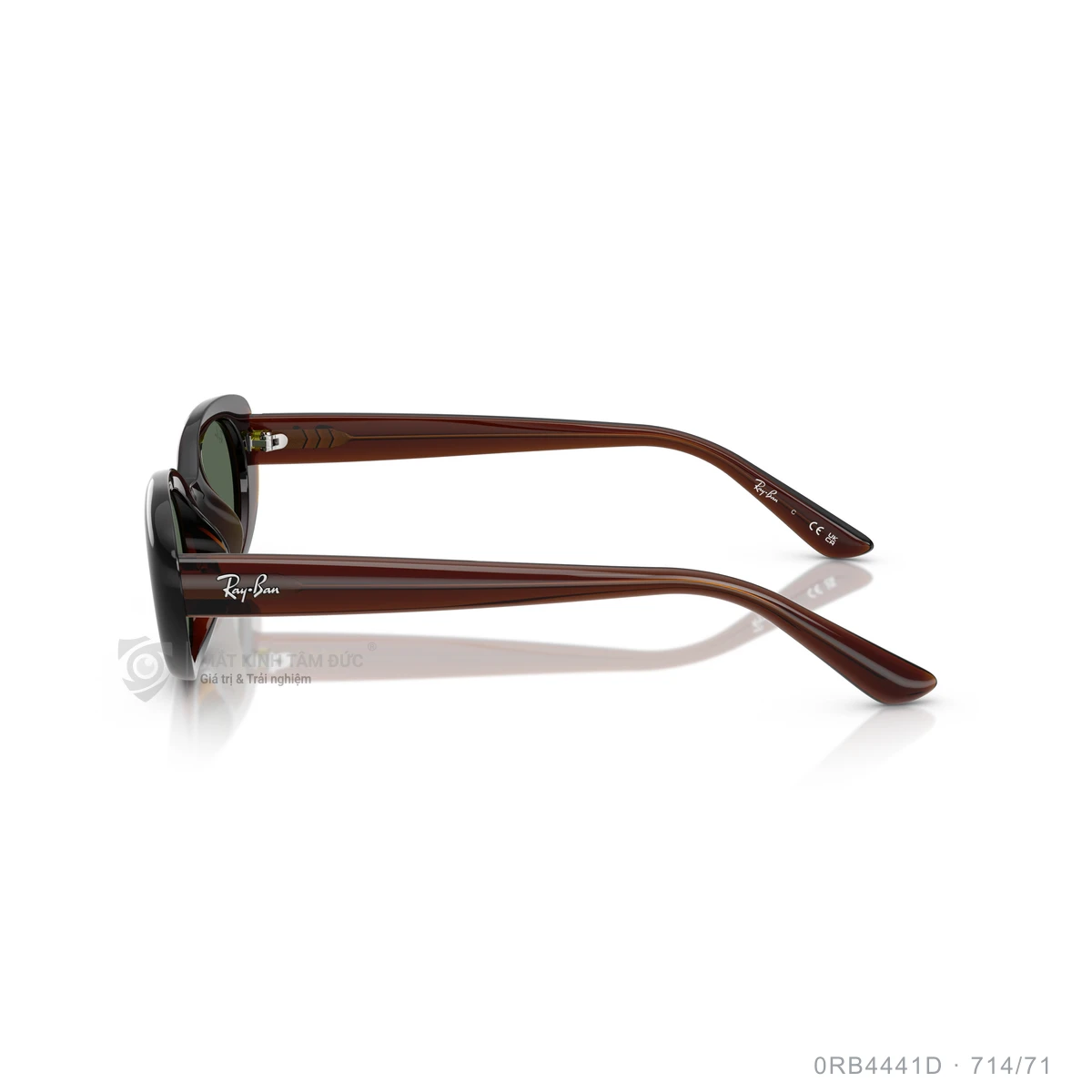 Kính mát Rayban 0RB4441D - Ảnh 14