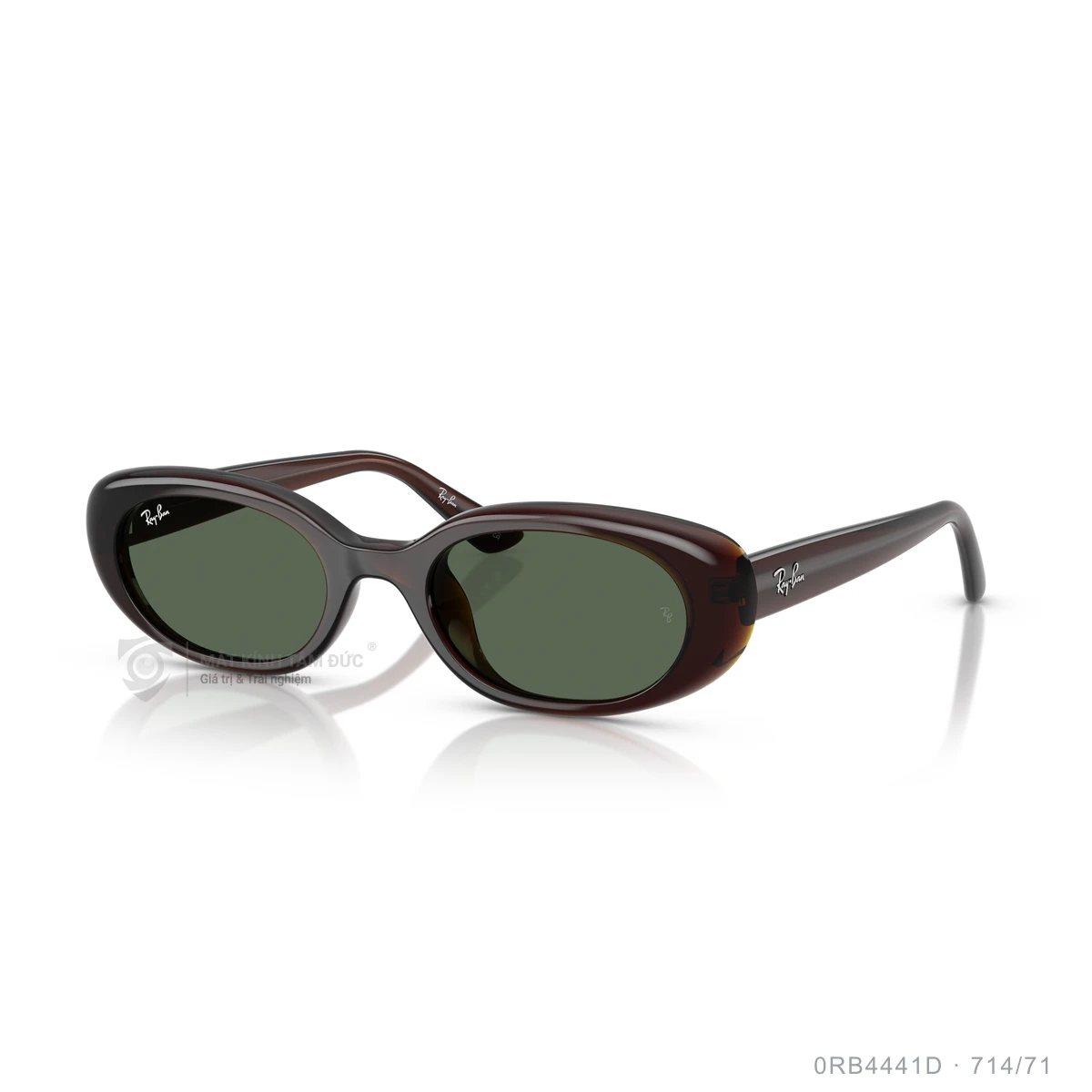 Kính mát Rayban 0RB4441D - Ảnh 12