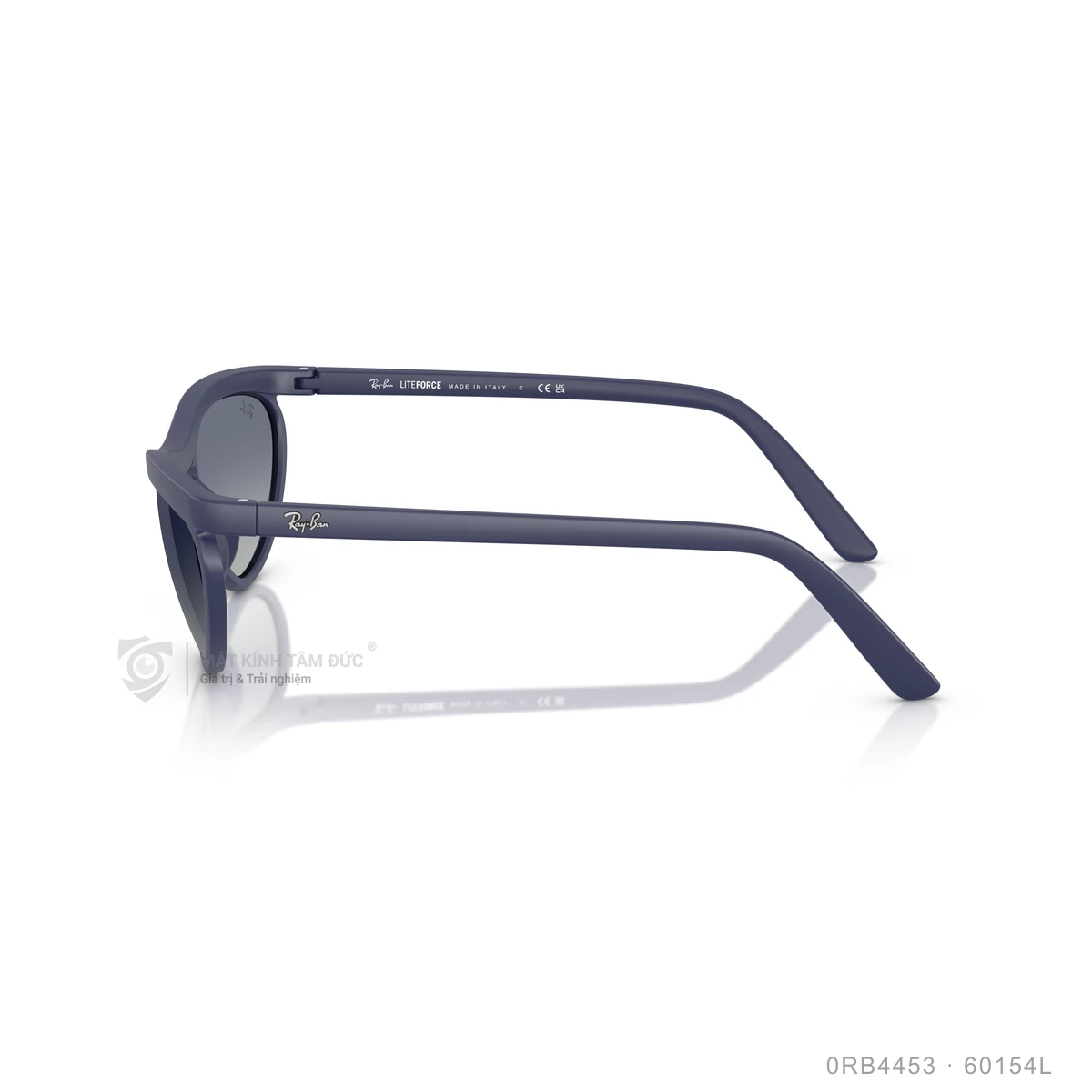 Kính mát Rayban 0RB4453 - Ảnh 4