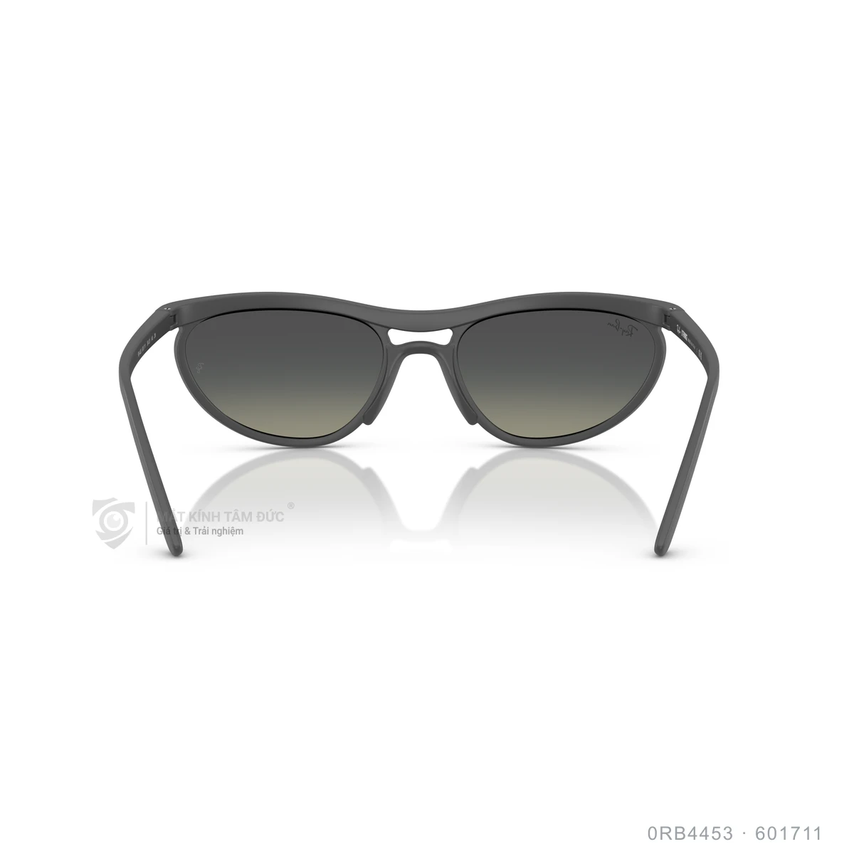 Kính mát Rayban 0RB4453 - Ảnh 10