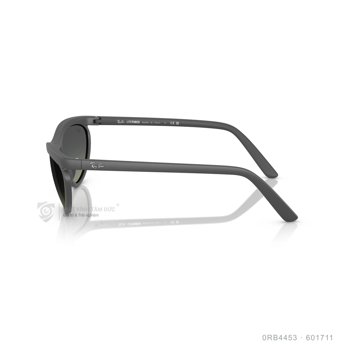 Kính mát Rayban 0RB4453 - Ảnh 9