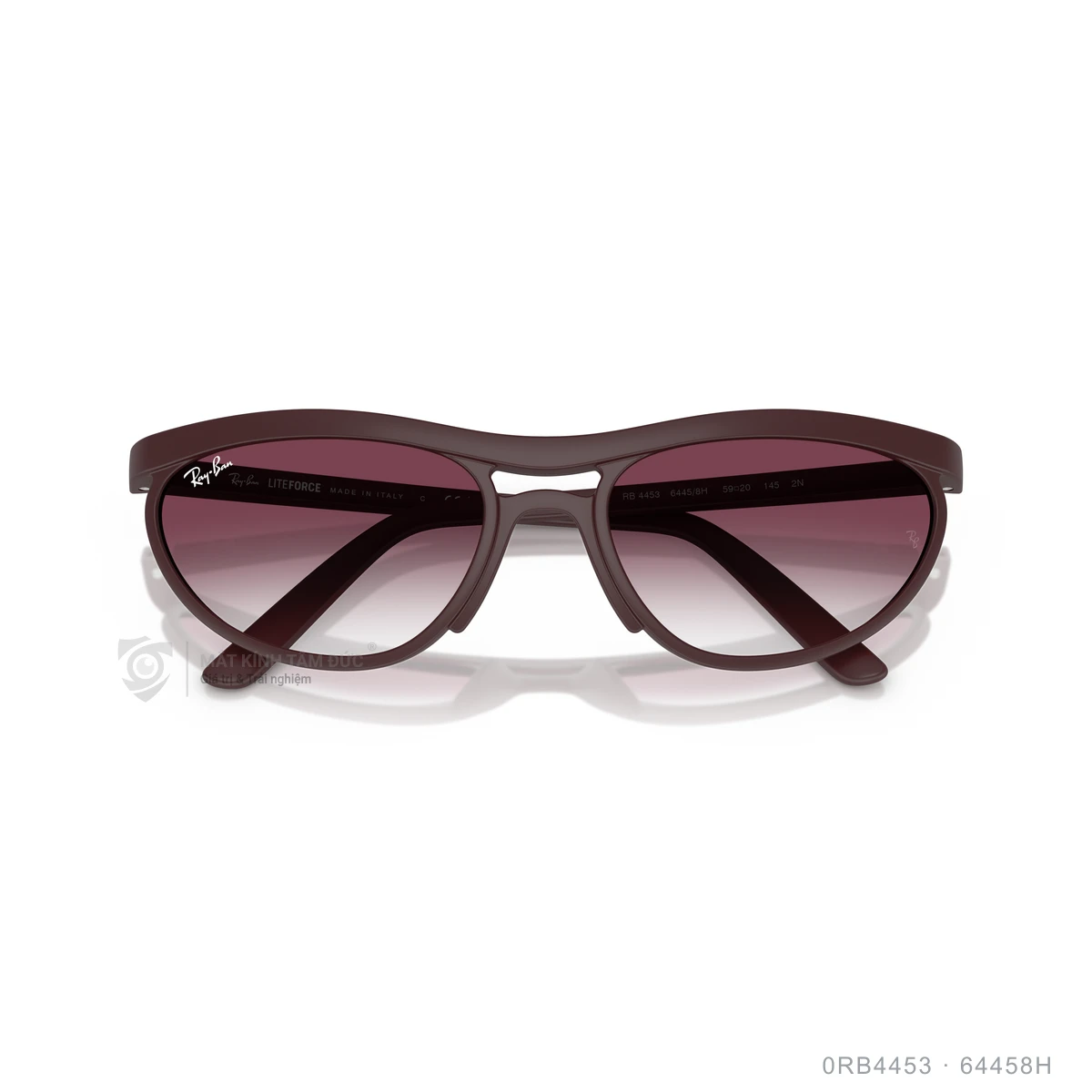 Kính mát Rayban 0RB4453 - Ảnh 13