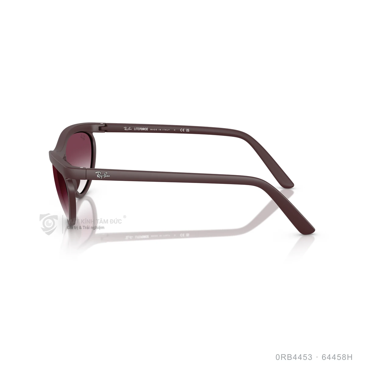 Kính mát Rayban 0RB4453 - Ảnh 14