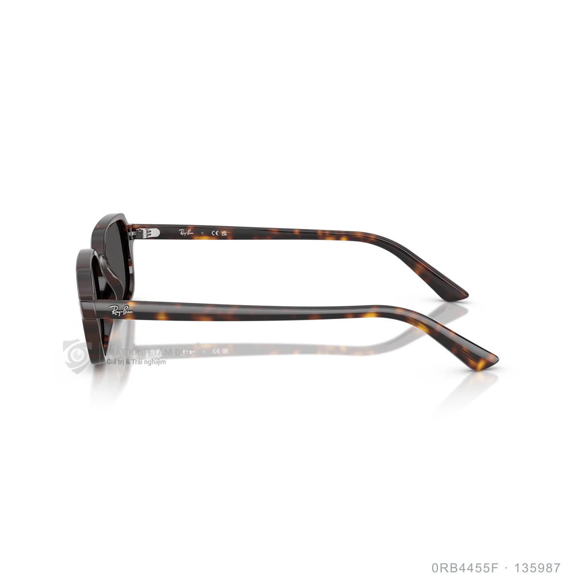 Kính mát Rayban 0RB4455F - Ảnh 9