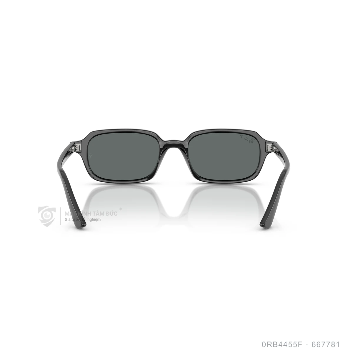 Kính mát Rayban 0RB4455F - Ảnh 15