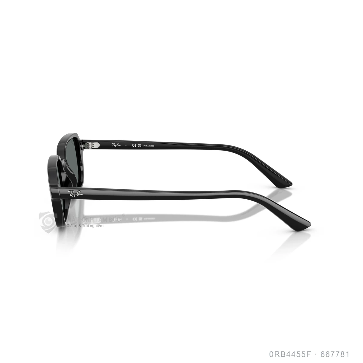 Kính mát Rayban 0RB4455F - Ảnh 14