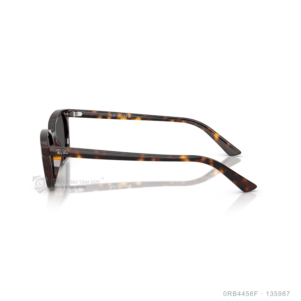 Kính mát Rayban 0RB4456F - Ảnh 9