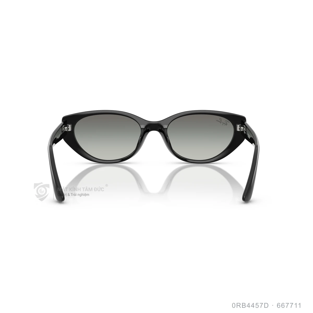 Kính mát Rayban 0RB4457D - Ảnh 15