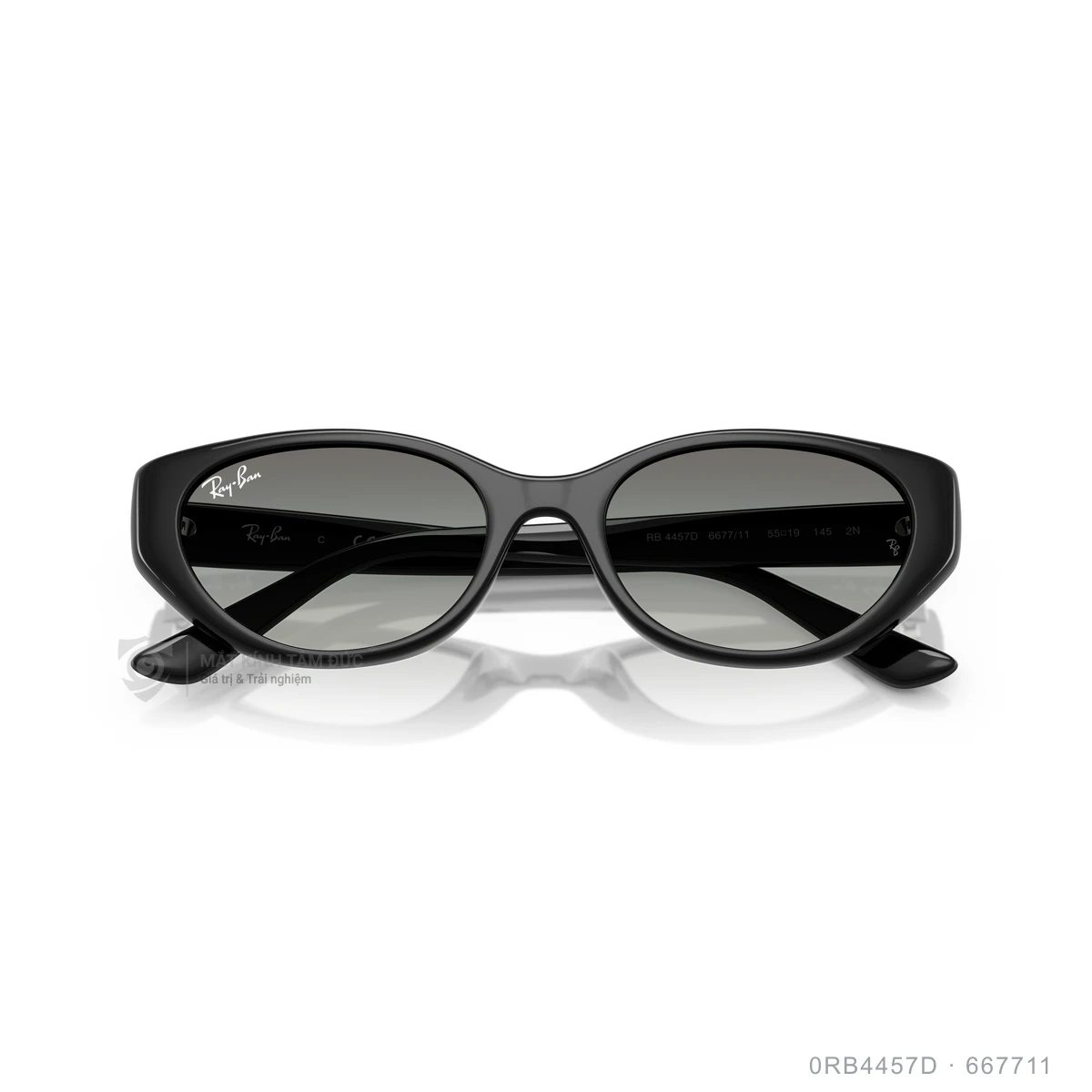 Kính mát Rayban 0RB4457D - Ảnh 13