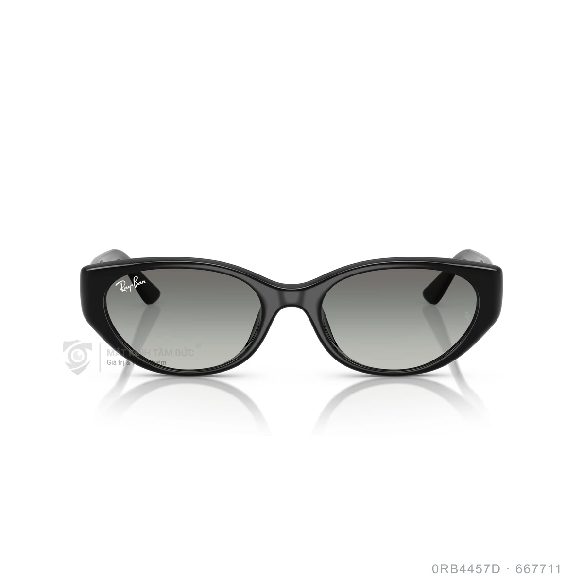 Kính mát Rayban 0RB4457D - Ảnh 11