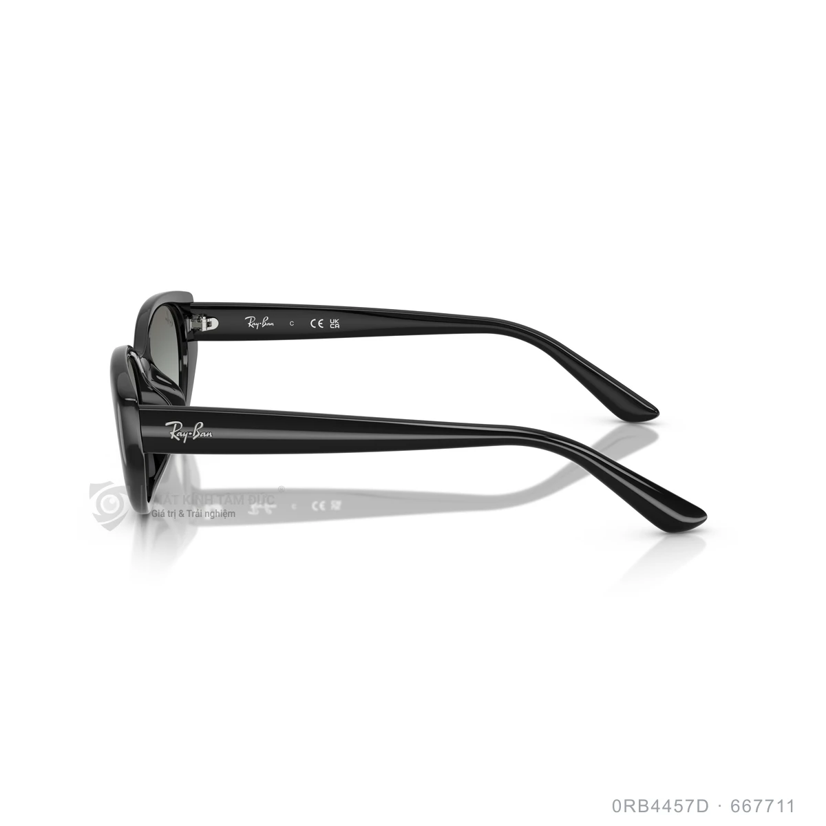 Kính mát Rayban 0RB4457D - Ảnh 14