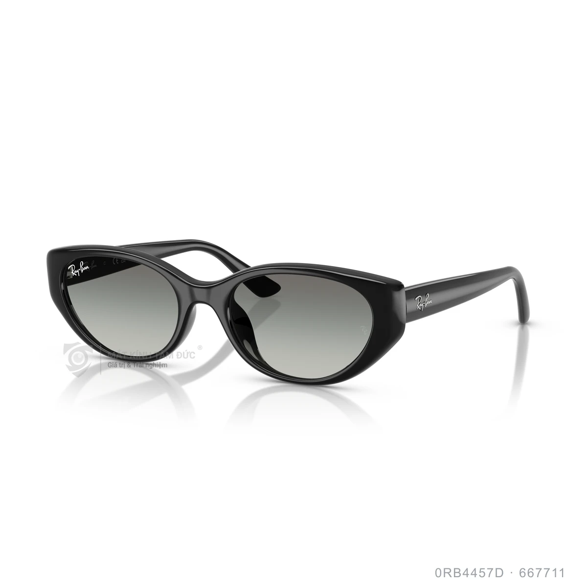 Kính mát Rayban 0RB4457D - Ảnh 12