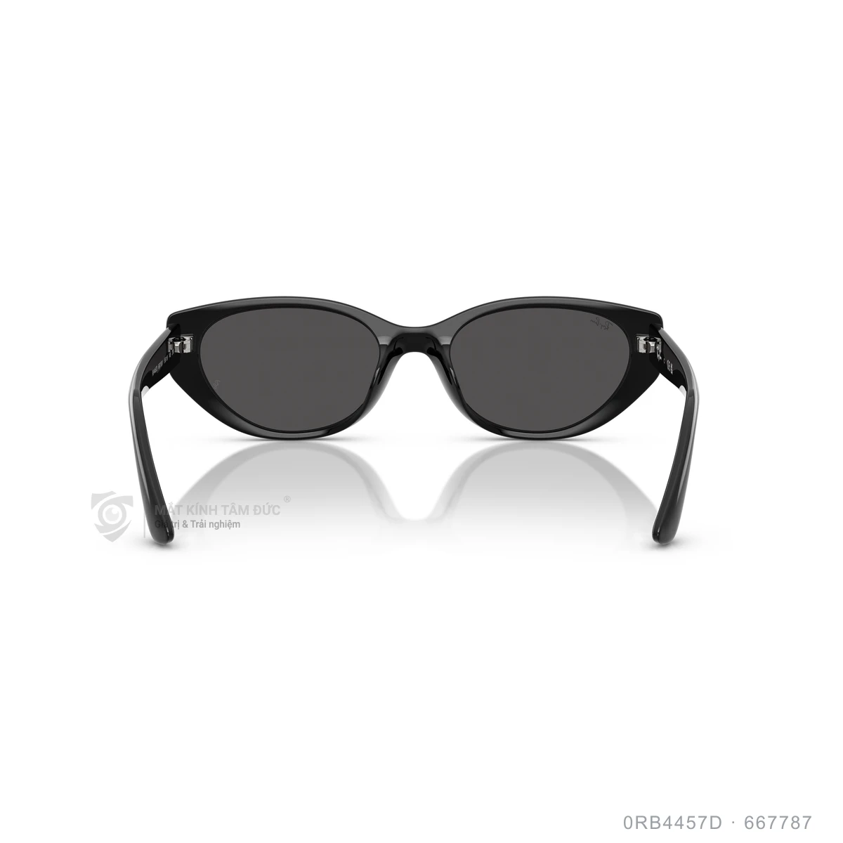 Kính mát Rayban 0RB4457D - Ảnh 20