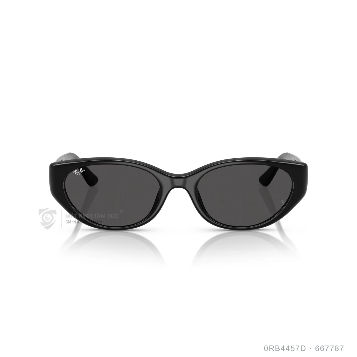 Kính mát Rayban 0RB4457D - Ảnh 16