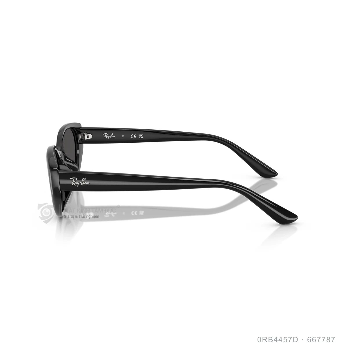Kính mát Rayban 0RB4457D - Ảnh 19