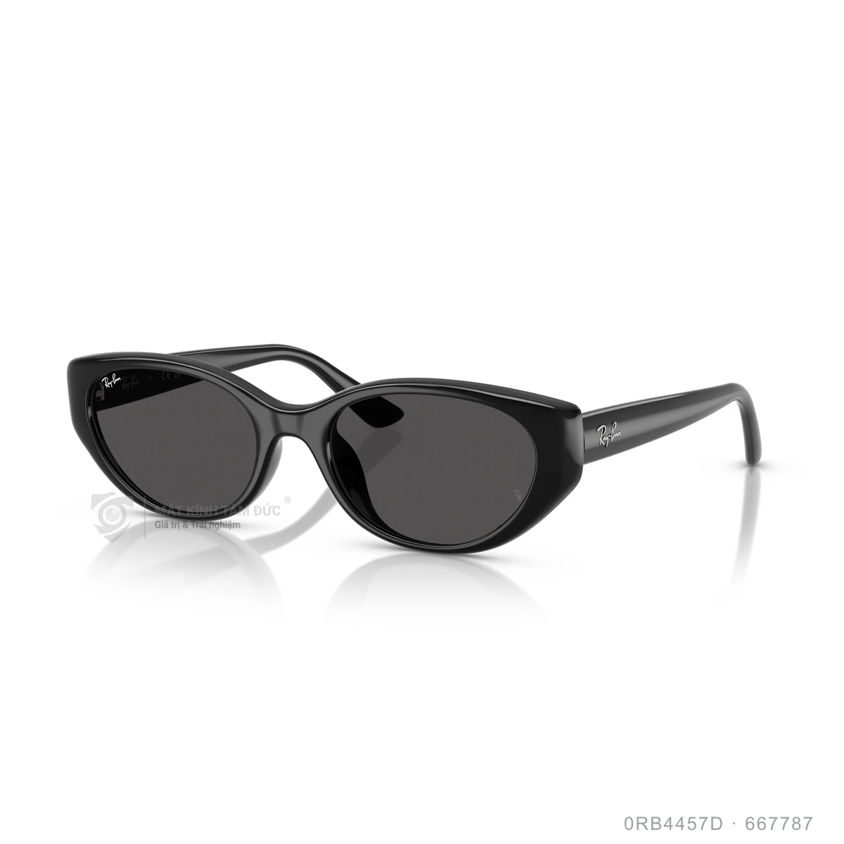 Kính mát Rayban 0RB4457D - Ảnh 17