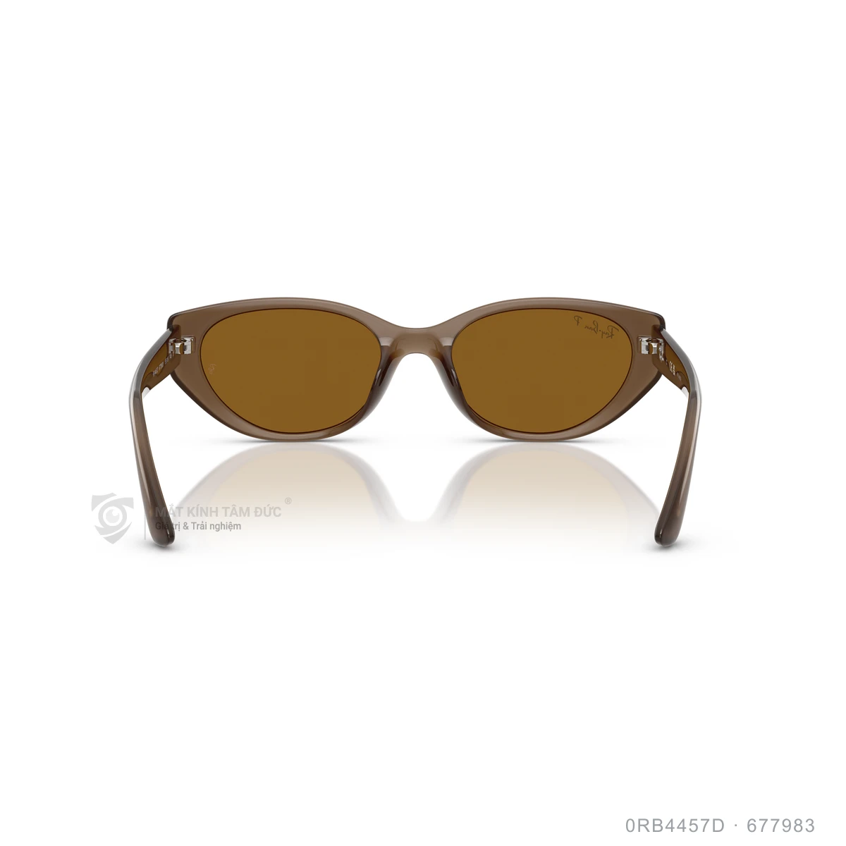 Kính mát Rayban 0RB4457D - Ảnh 5