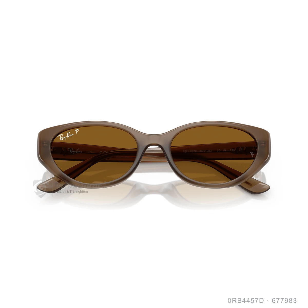 Kính mát Rayban 0RB4457D - Ảnh 3