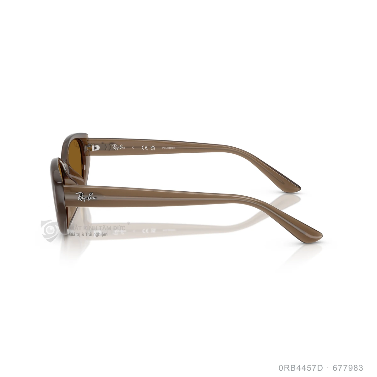 Kính mát Rayban 0RB4457D - Ảnh 4