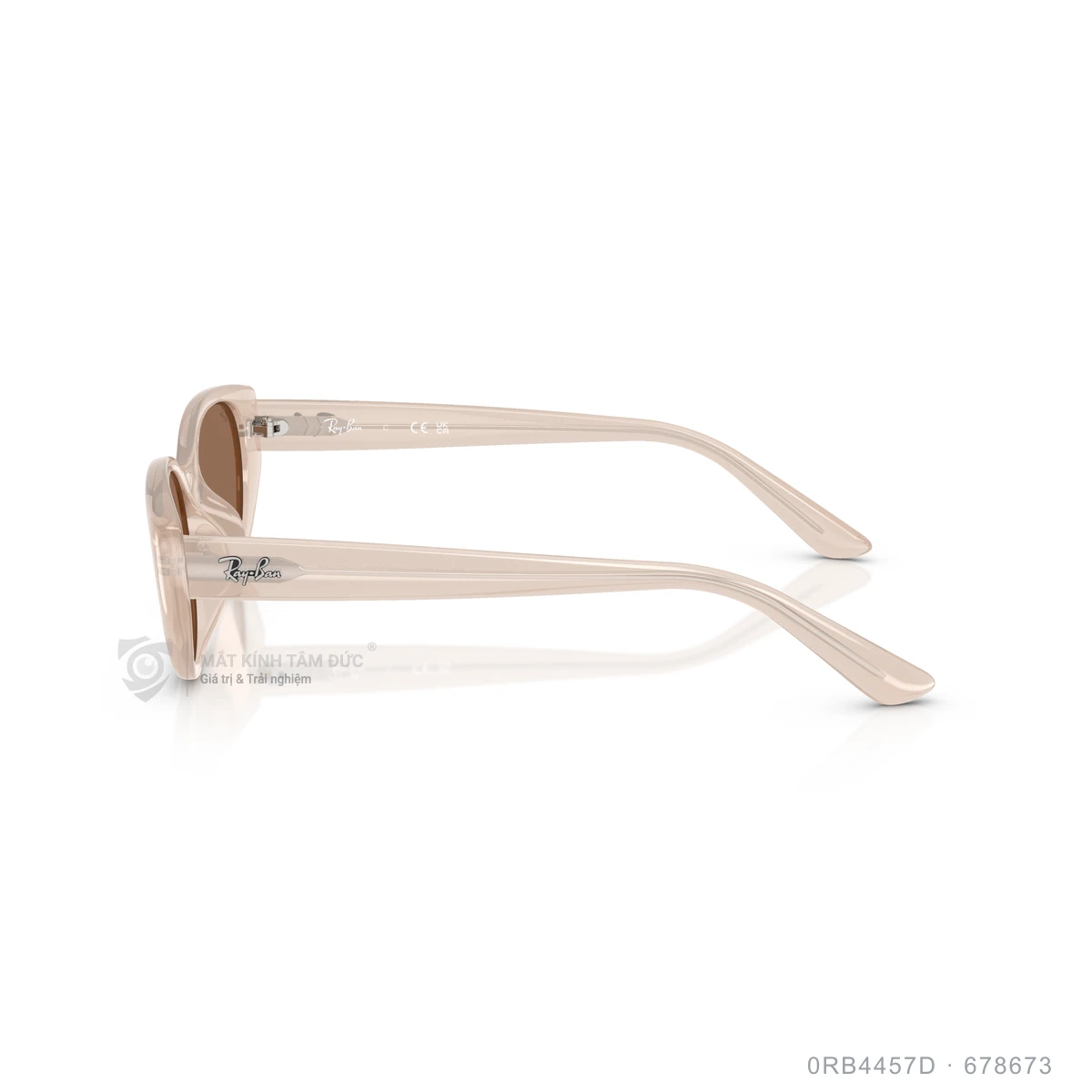 Kính mát Rayban 0RB4457D - Ảnh 24