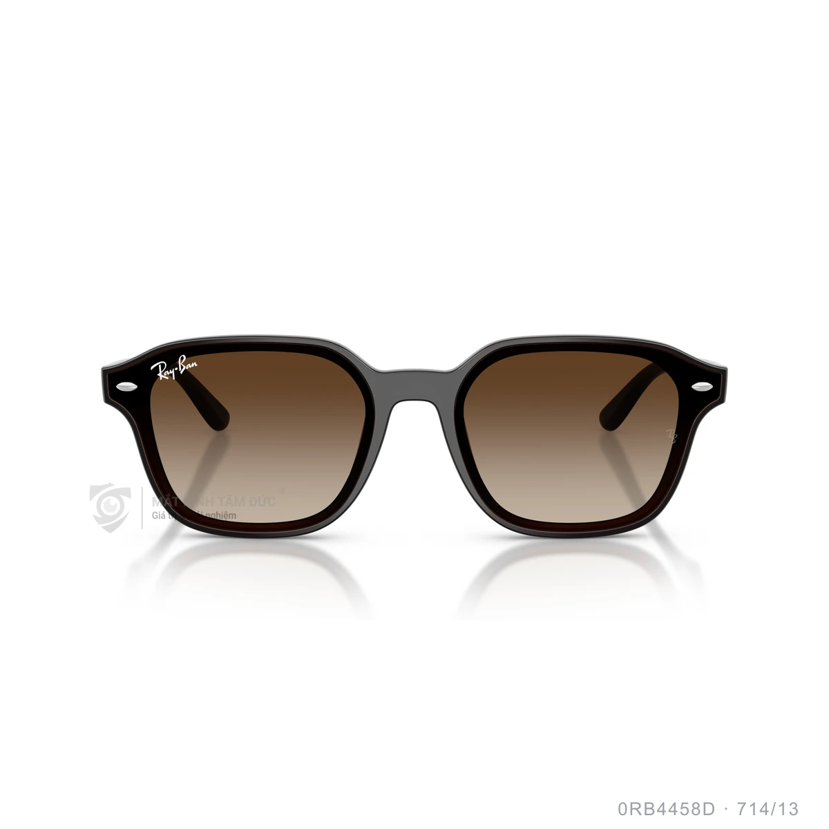 Kính mát Rayban 0RB4458D - Ảnh 21
