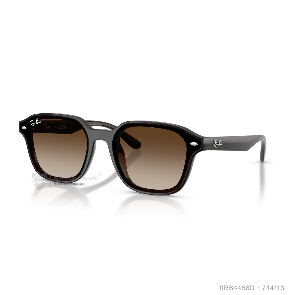 Kính mát Rayban 0RB4458D - Ảnh 22