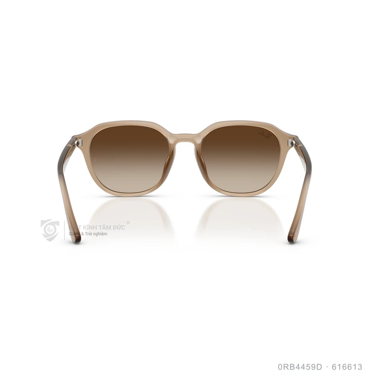 Kính mát Rayban 0RB4459D - Ảnh 5