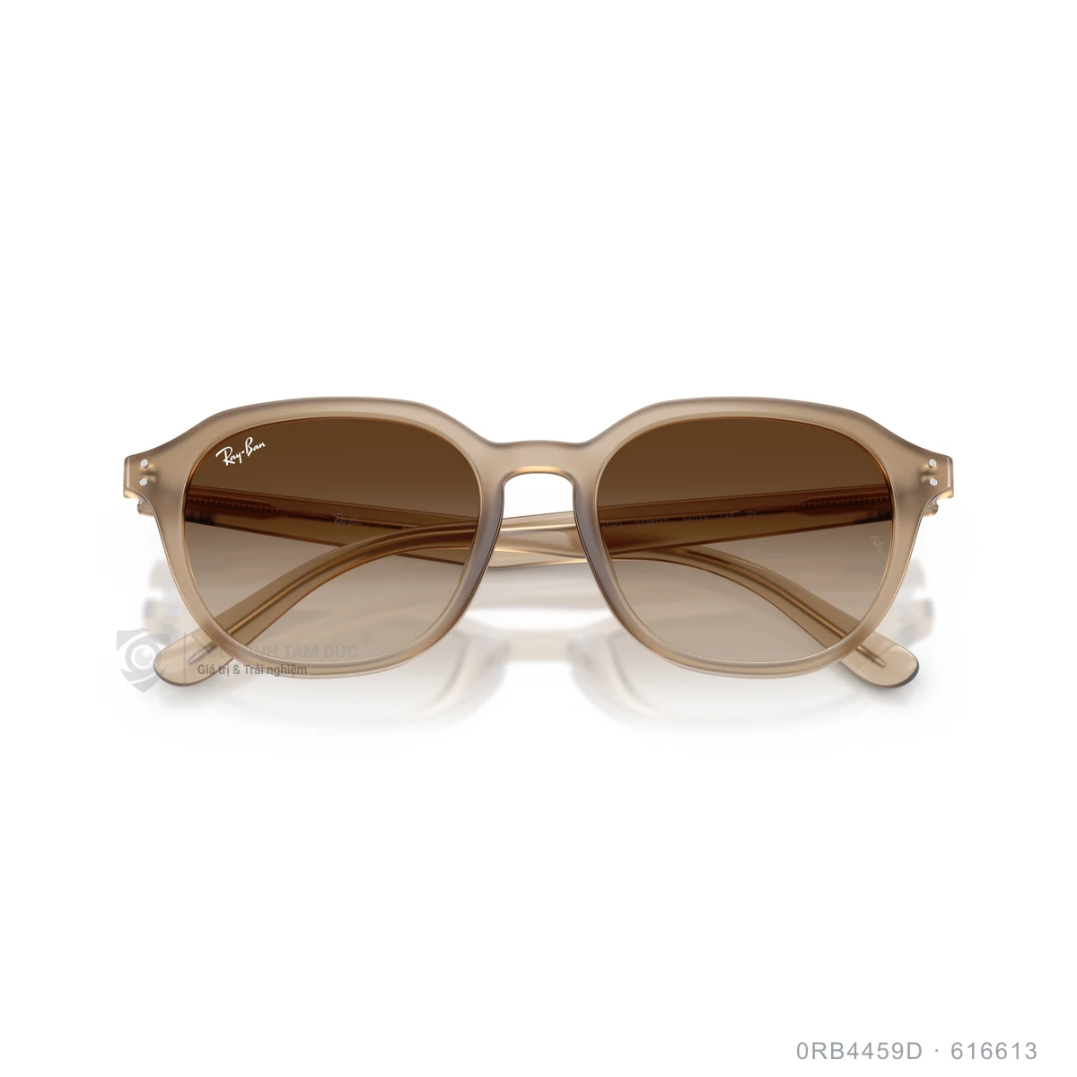 Kính mát Rayban 0RB4459D - Ảnh 3