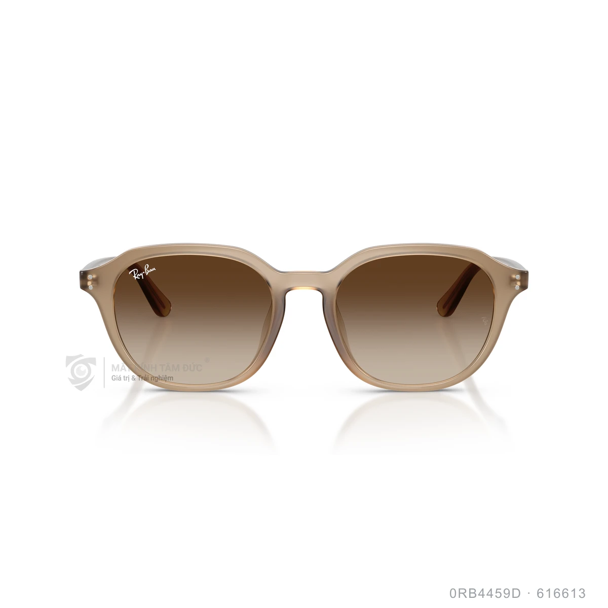 Hình ảnh thực tế Kính mát Rayban 0RB4459D