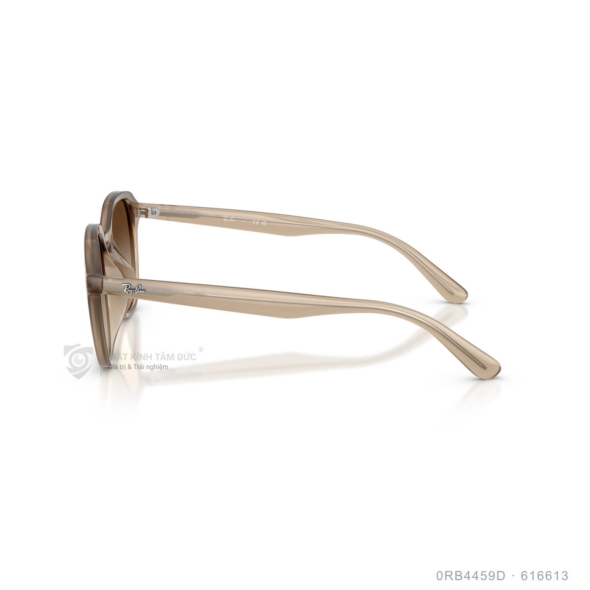 Kính mát Rayban 0RB4459D - Ảnh 4