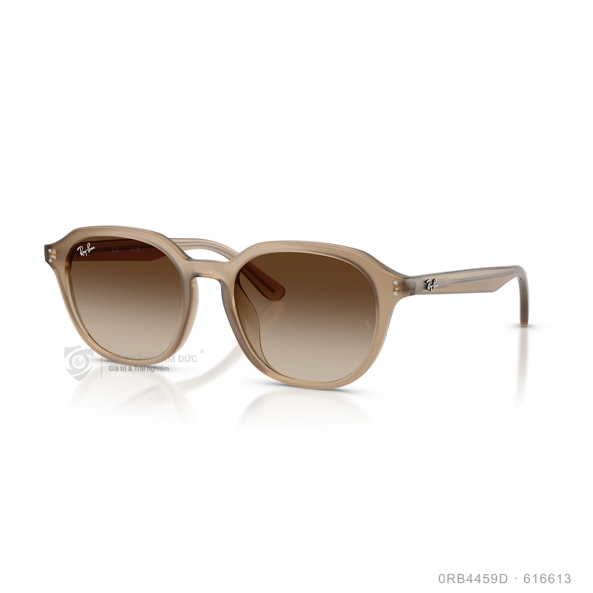 Chi tiết góc nghiêng Kính mát Rayban 0RB4459D