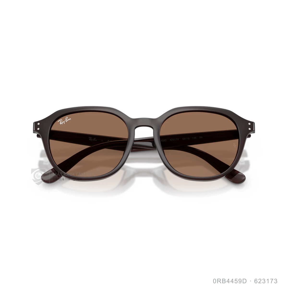 Kính mát Rayban 0RB4459D - Ảnh 8