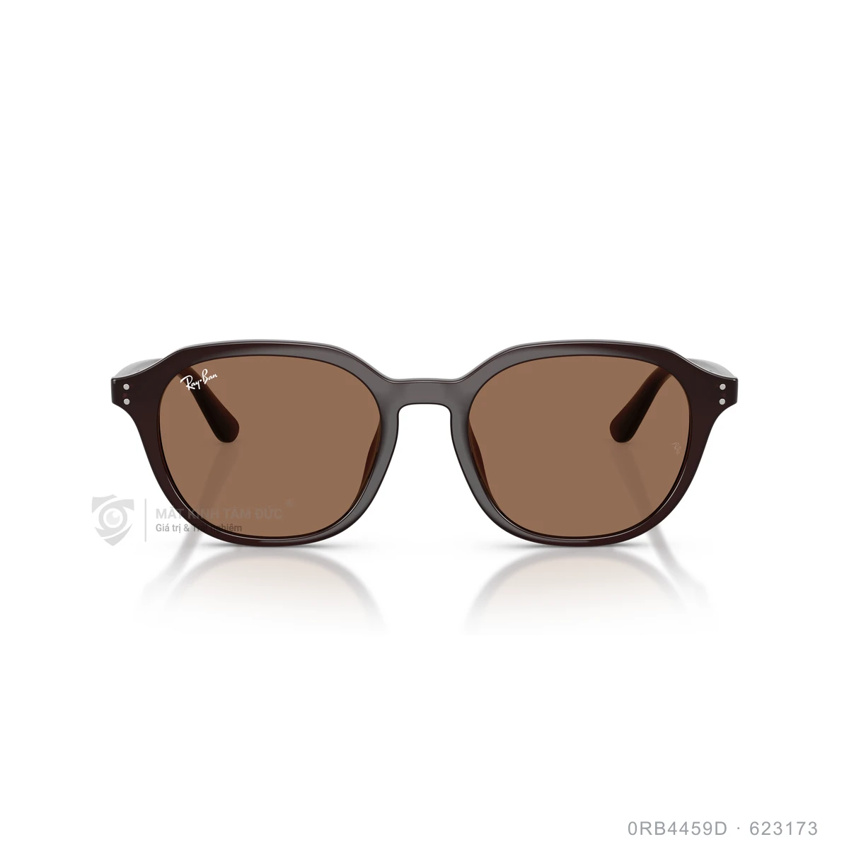 Kính mát Rayban 0RB4459D - Ảnh 6