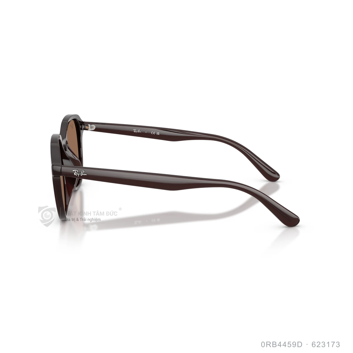 Kính mát Rayban 0RB4459D - Ảnh 9