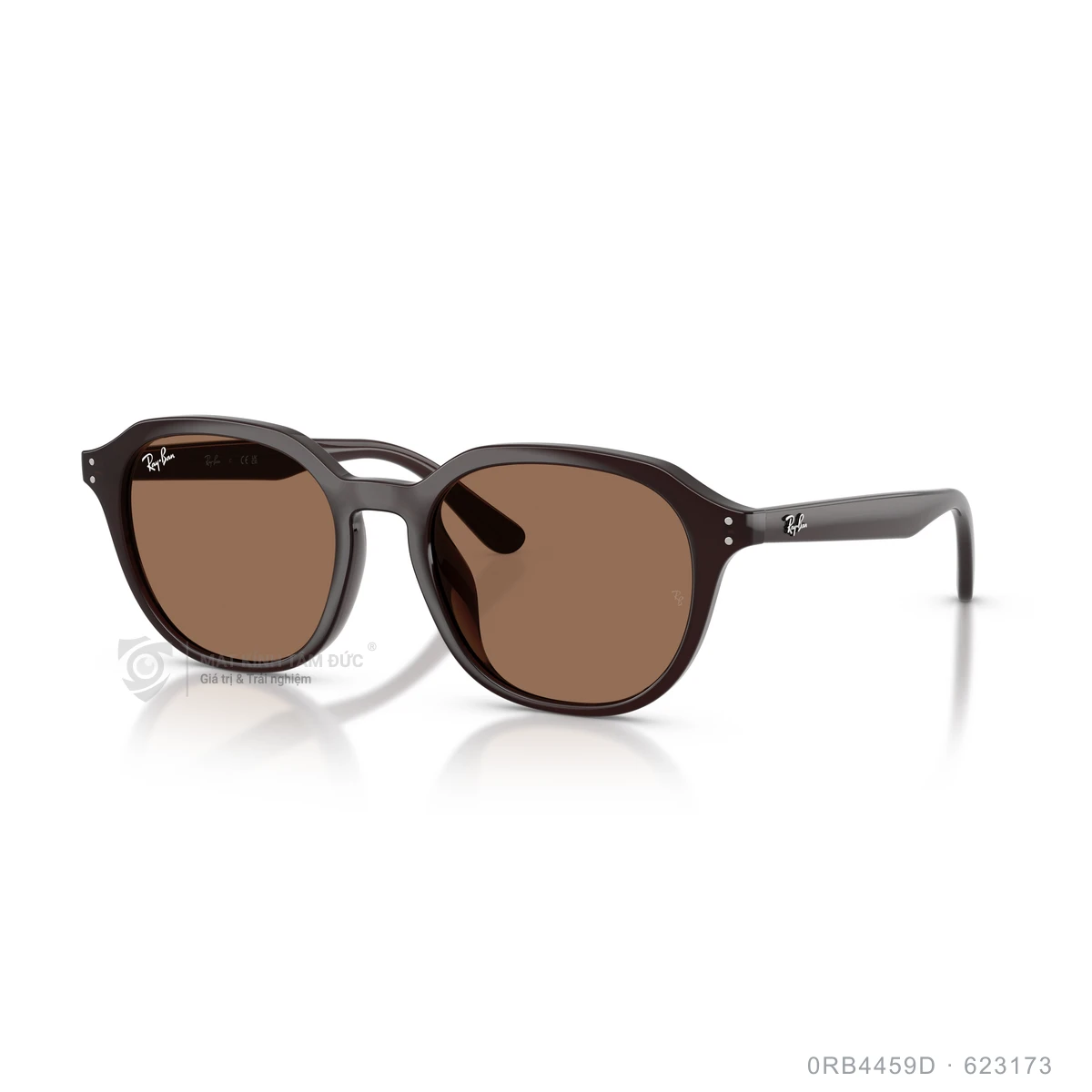 Kính mát Rayban 0RB4459D - Ảnh 7