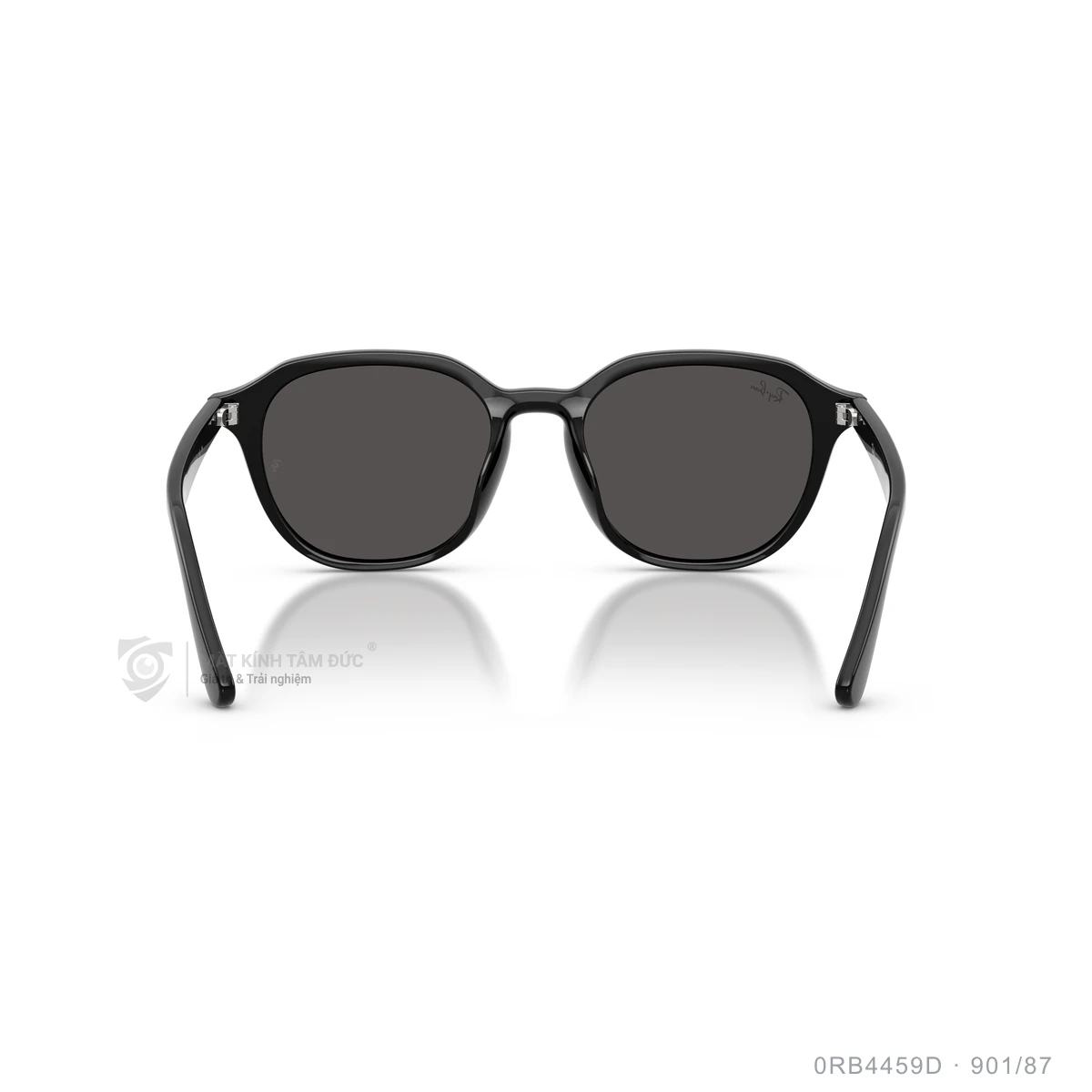 Kính mát Rayban 0RB4459D - Ảnh 15