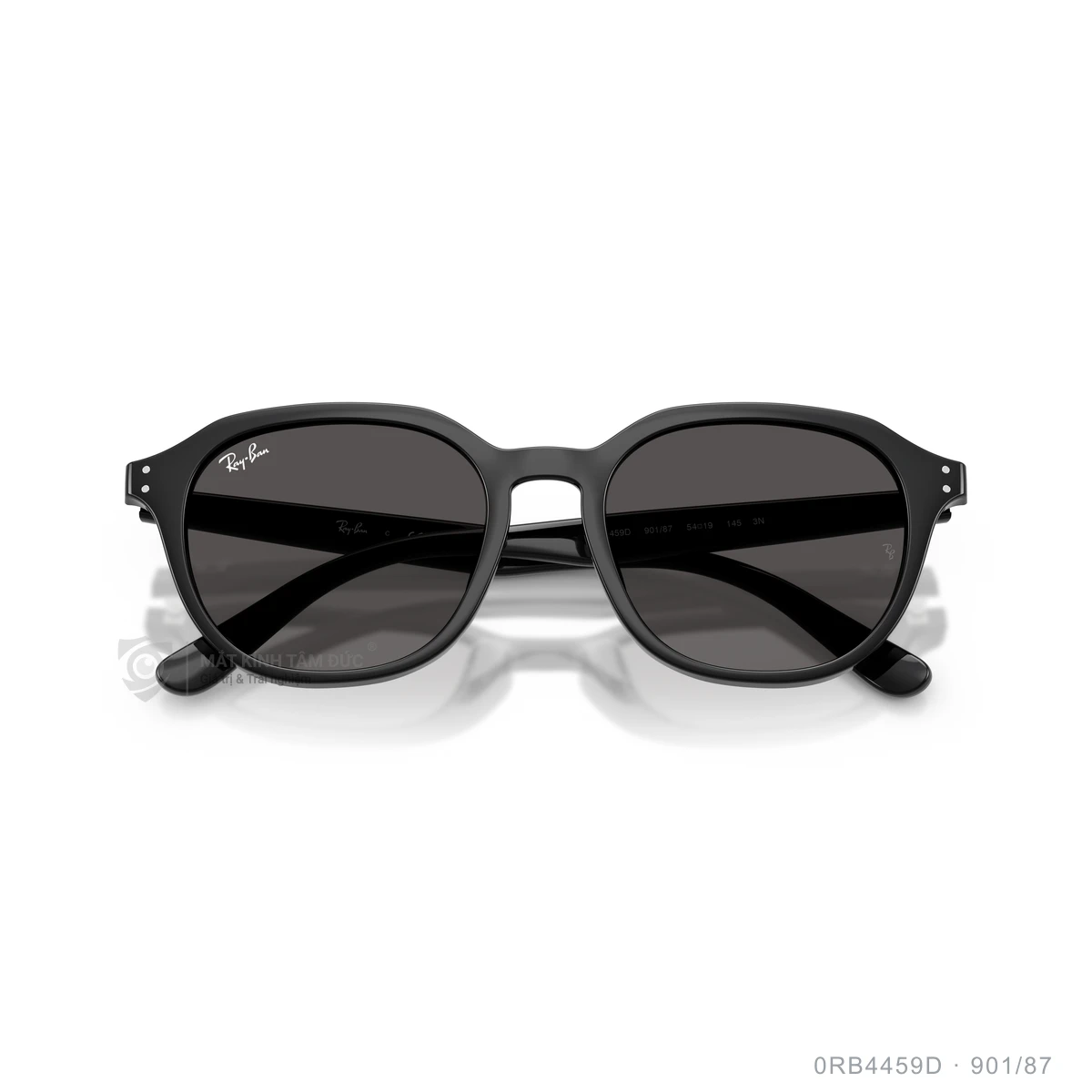 Kính mát Rayban 0RB4459D - Ảnh 13