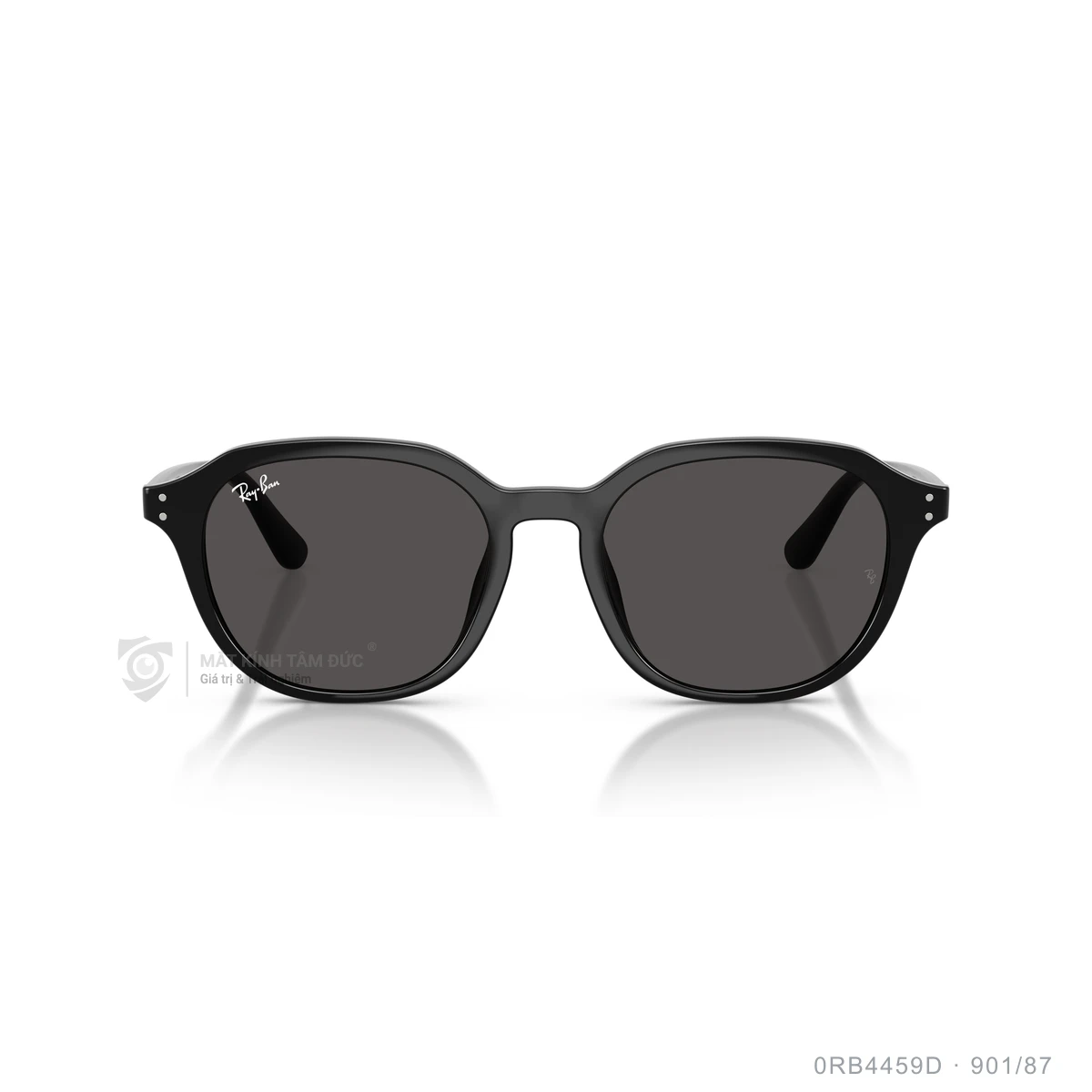 Kính mát Rayban 0RB4459D - Ảnh 11