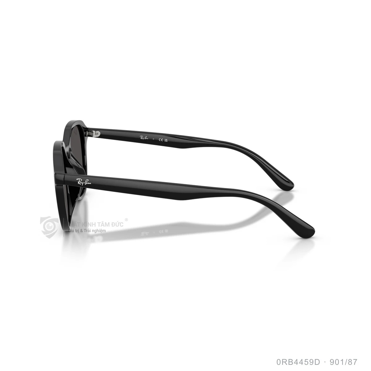Kính mát Rayban 0RB4459D - Ảnh 14