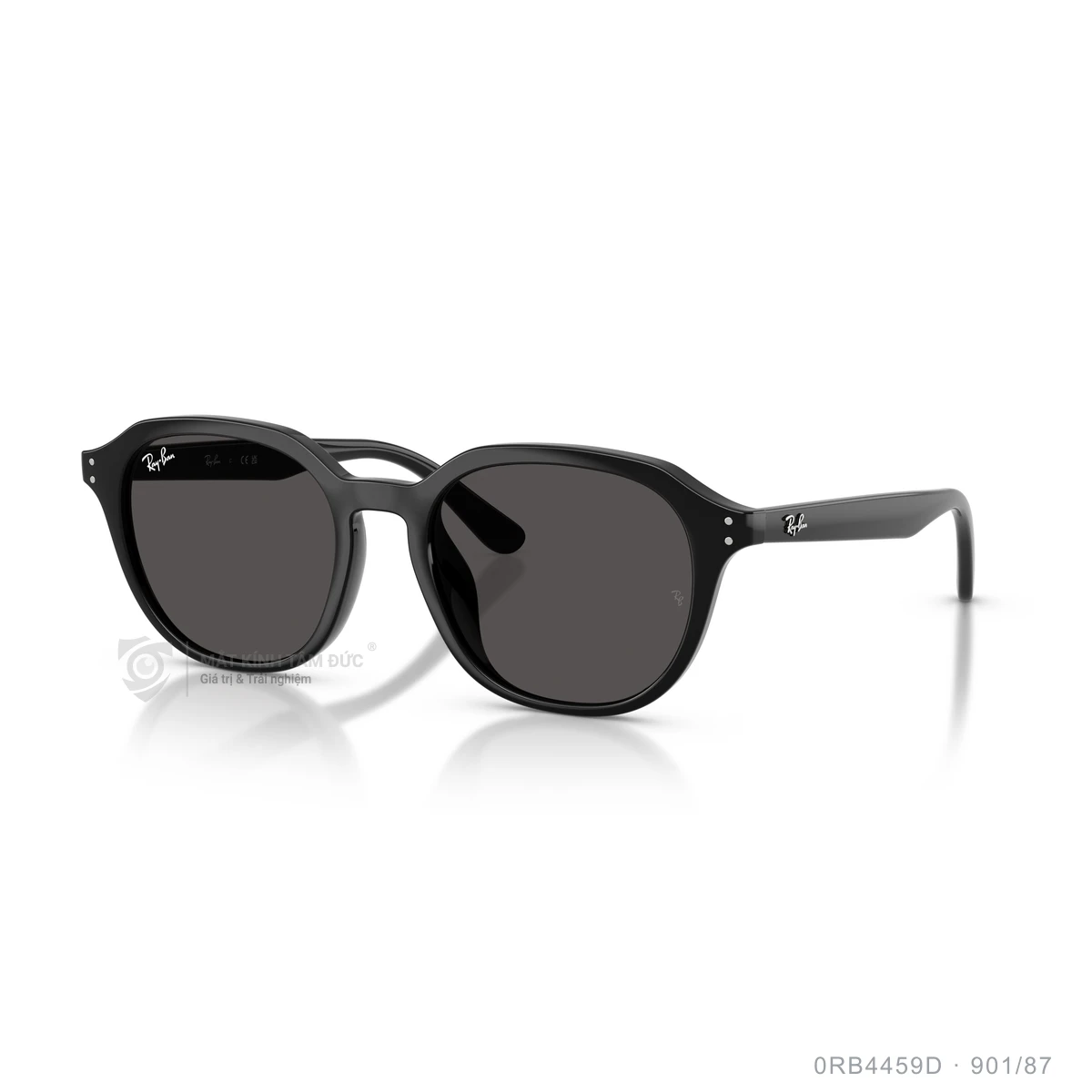 Kính mát Rayban 0RB4459D - Ảnh 12