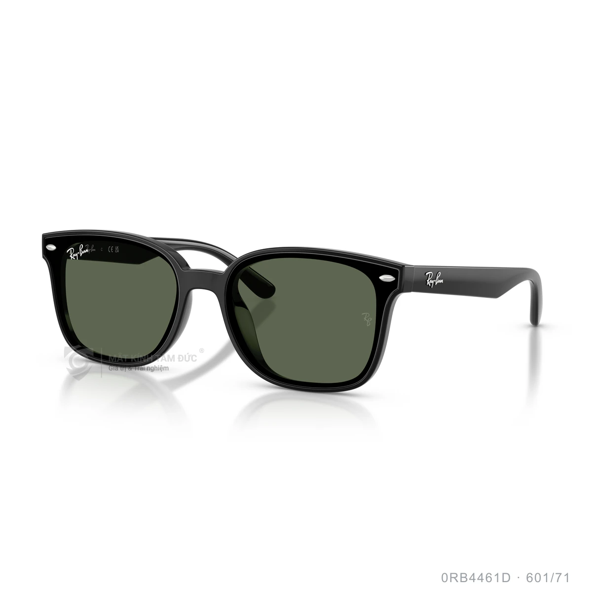Chi tiết góc nghiêng Kính mát Rayban 0RB4461D