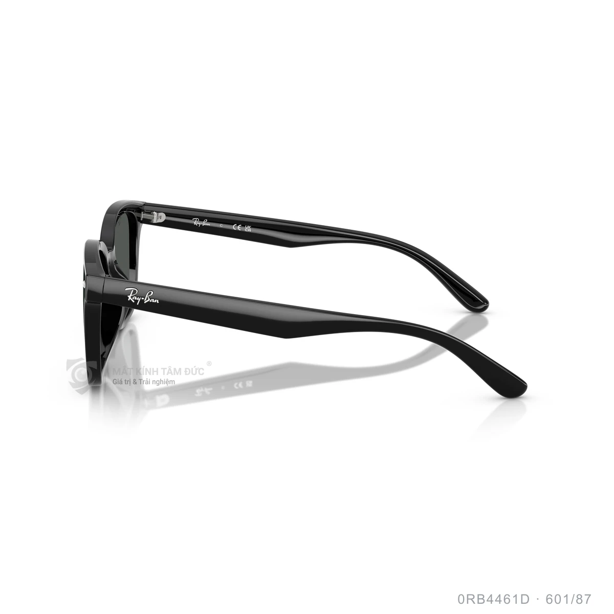 Kính mát Rayban 0RB4461D - Ảnh 14