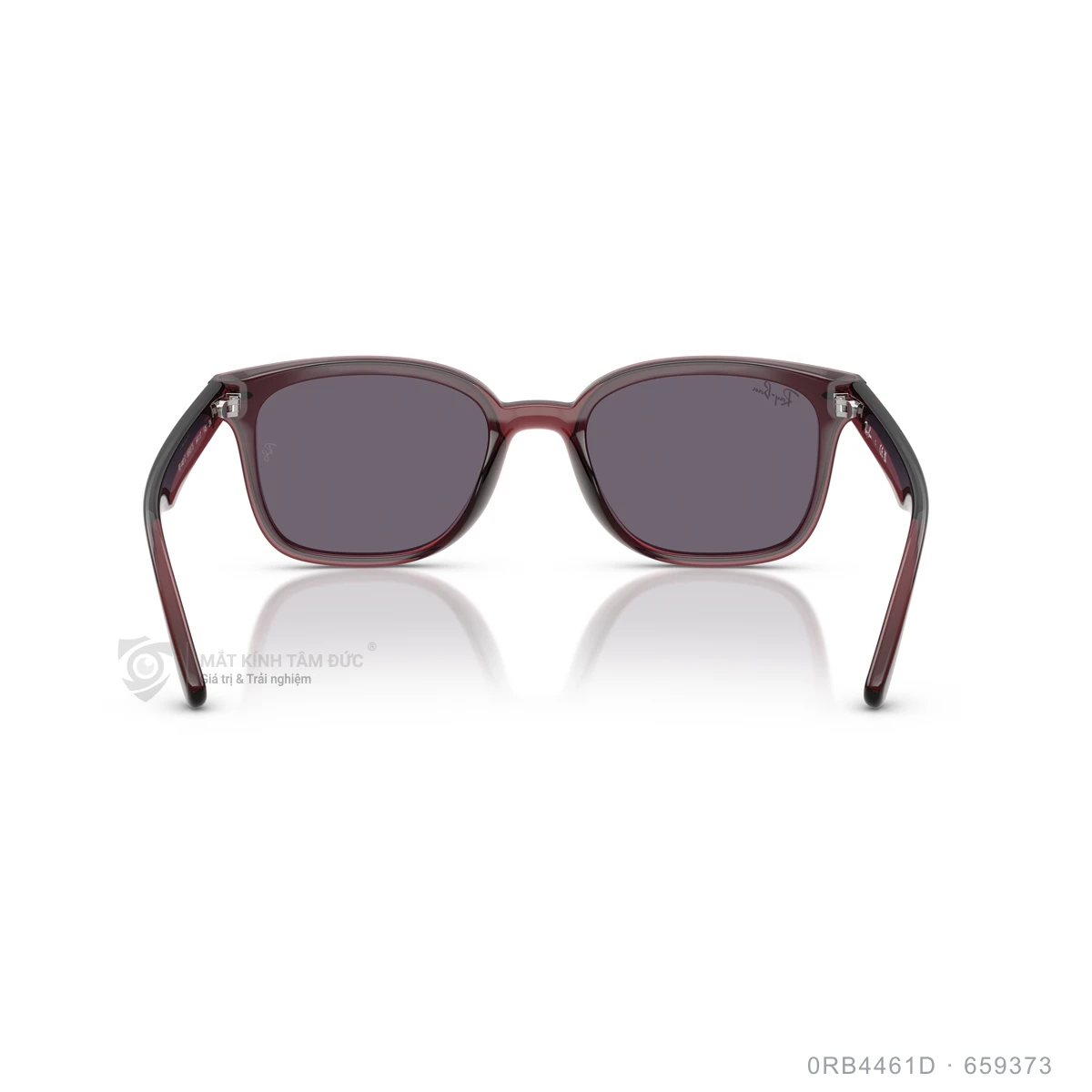 Kính mát Rayban 0RB4461D - Ảnh 25