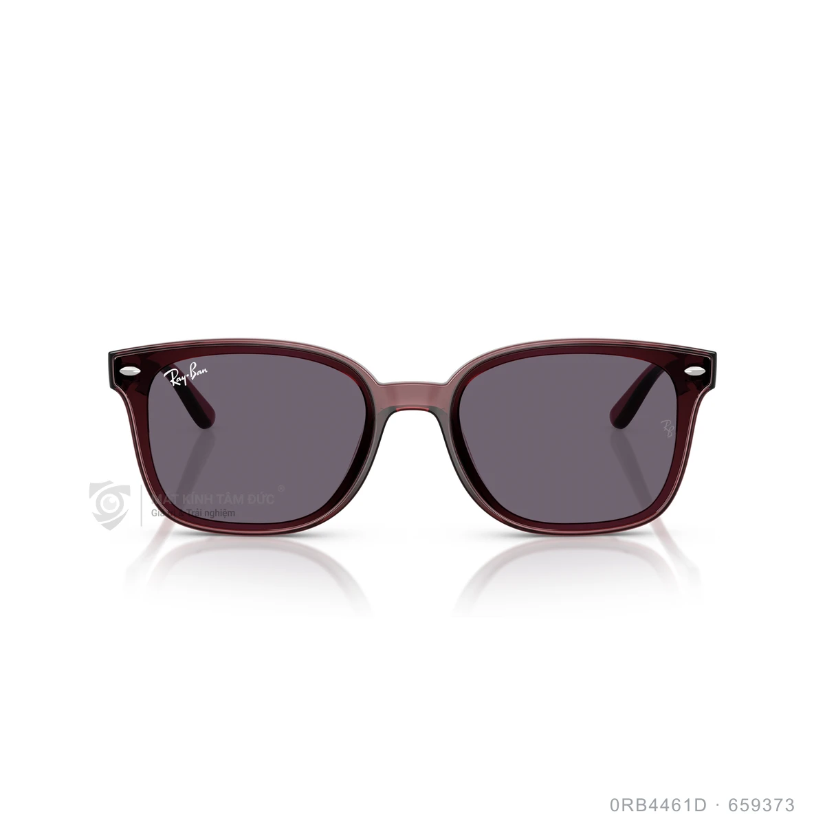 Kính mát Rayban 0RB4461D - Ảnh 21