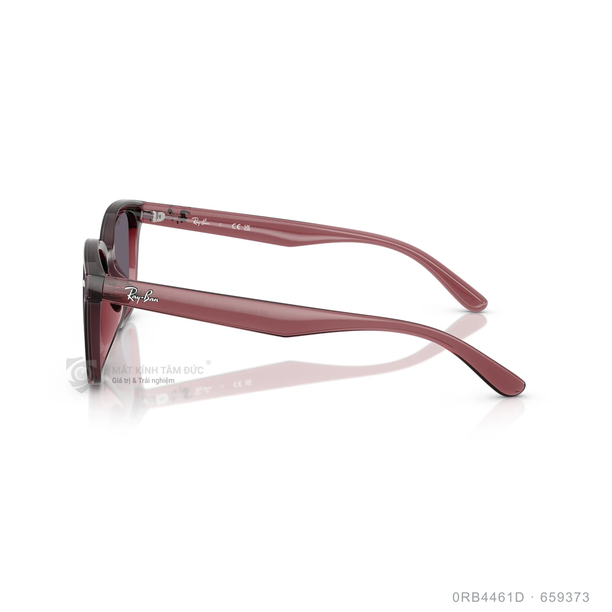 Kính mát Rayban 0RB4461D - Ảnh 24